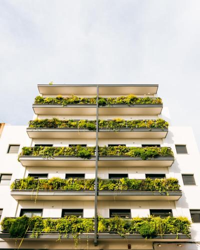 TreeTriana, Siviglia