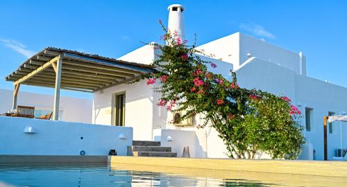 Paros House Villa