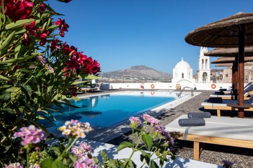 Thira's Dolphin - image 12