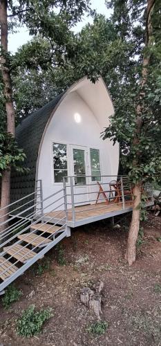 . Bungalovi Api-centar