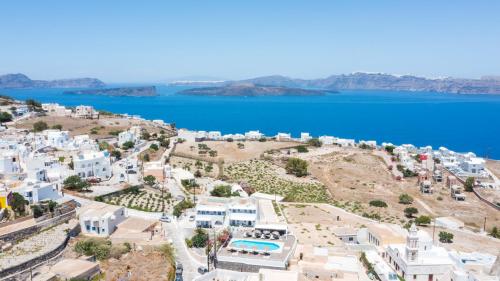 Thira's Dolphin - image 14