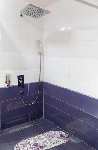 Guest House Ćiro - image 6