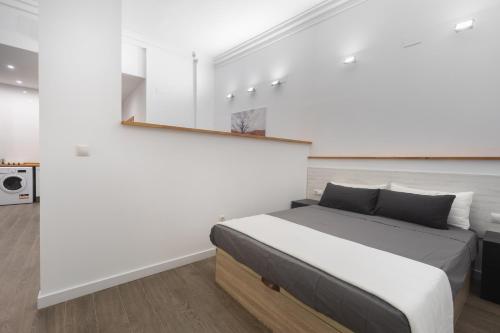 Exclusivos Lofts en Plaza del Ayuntamiento 4