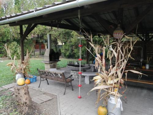 Napraforgo Vendeghaz in Mezokovesd