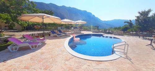 Vila Pegaz - image 2