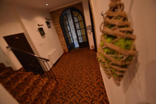 Gala - Guesthouse, Oradea (fotografie 7)