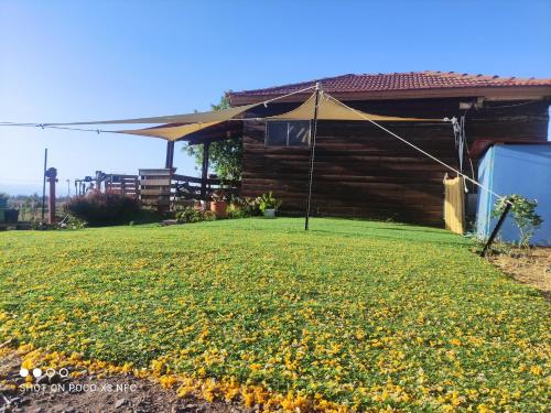 Idelia at Golan Heights in Kiryat Yam