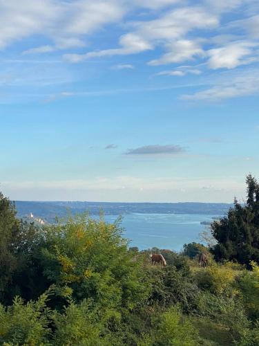  La Garçonniérre del Lago Maggiore, Ferienwohnung in Nebbiuno