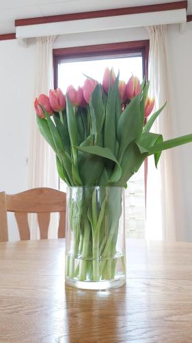 Hanami Cosy Garden familie chalet tot 4 personen op de Veluwe all inclusive
