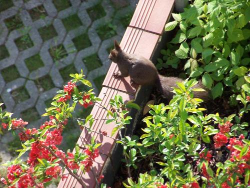  Salotto di LaZia in Bad Schallerbach