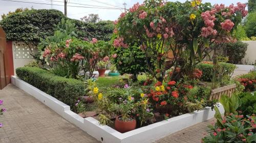 Daavi's Garden Guesthouse 2min from Junction Mall