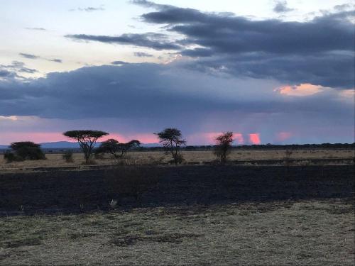 Serengeti Sound of Silence
