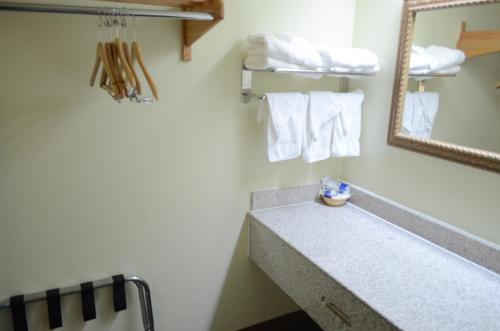 Scottish Inn and Suites NRG Park/Texas Medical Center - Houston - 화장실