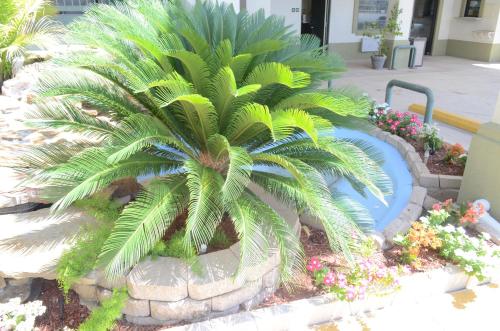 Scottish Inn and Suites NRG Park/Texas Medical Center - Houston - 편의 시설/서비스