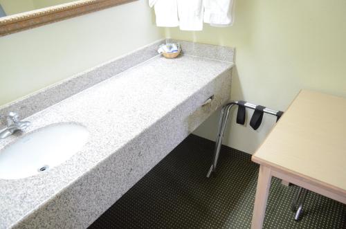 Scottish Inn and Suites NRG Park/Texas Medical Center - Houston - 화장실
