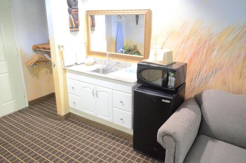 Scottish Inn and Suites NRG Park/Texas Medical Center - Houston - 주방