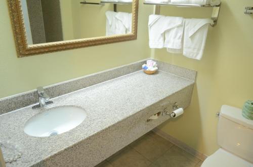 Scottish Inn and Suites NRG Park/Texas Medical Center - Houston - 화장실