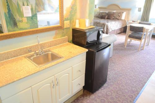 Scottish Inn and Suites NRG Park/Texas Medical Center - Houston - 주방