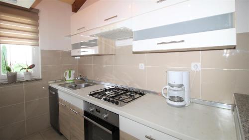 virtuve, Apartments Brcic in Rogovići