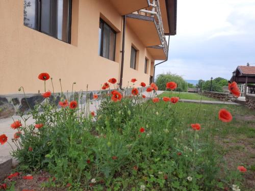 Laguna Verde in เทอร์นูเซเวอริน