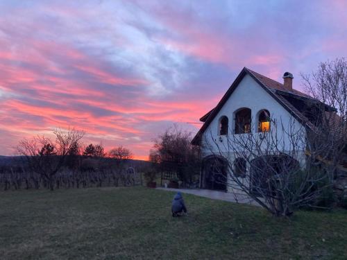 Holiday Home in Dörgicse Vineyard