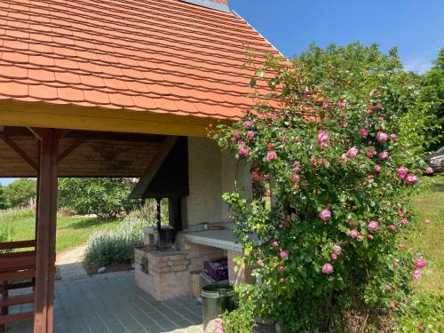 Holiday Home in Dörgicse Vineyard