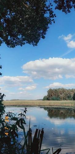 Domek na Trylkówku (Domek na Trylkowku) in Щитно