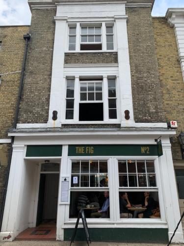 The fig 2