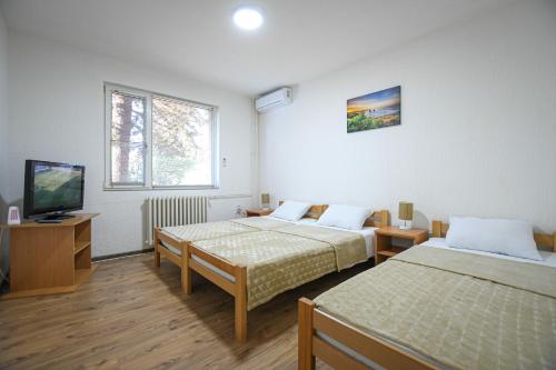 Apartman 59