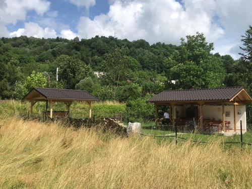 Guest House Carpathia - image 2