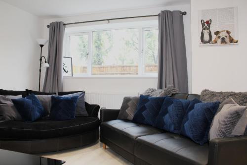 Picture of Low Cost, 4 Bed, Pet Friendly Apartment & Parking 07