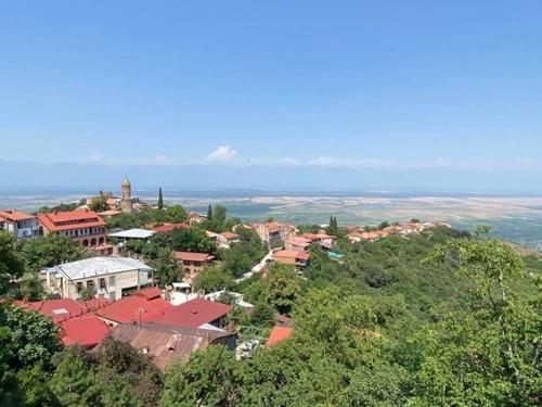 B&B Sighnaghi - Dzveli Ubani - Bed and Breakfast Sighnaghi