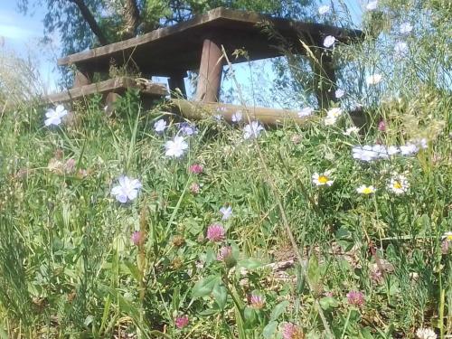 CASA APPARTAMENTO VACANZE La fermata delle rondini