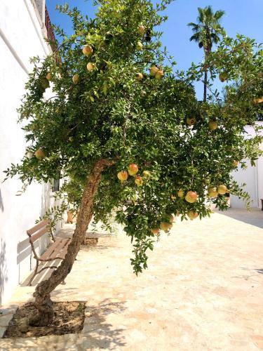 Masseria Villa Gioia