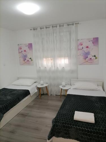Apartments Stars – Zadar, VA