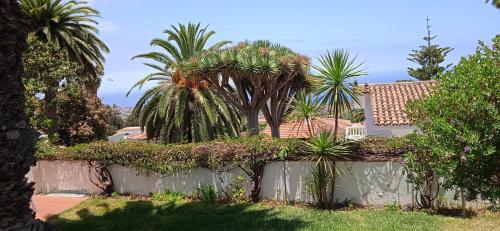  Studio-Apartment Sabine in La Orotava