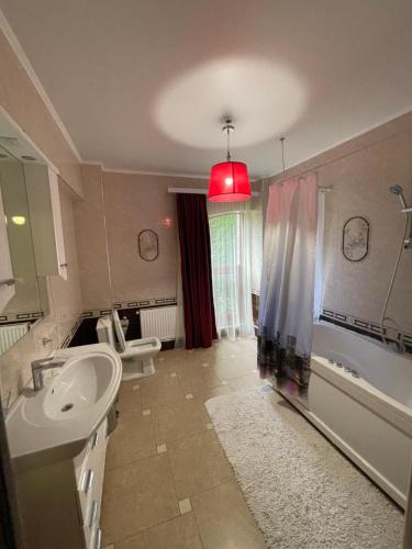 Hotel Veterok - image 10