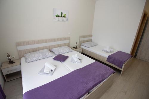 Pansion Nerry - image 11
