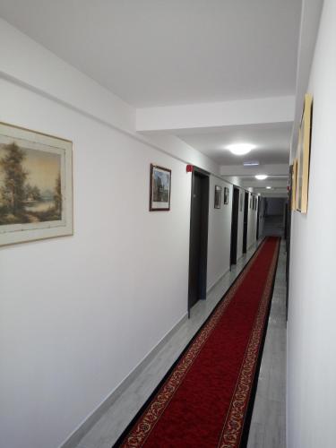 Brezovay Kastély Panzió (Brezovay Kastely Panzio) in เอแกร์โซลัต