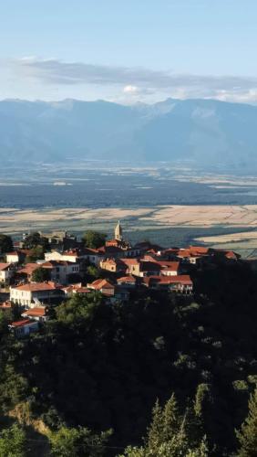 Guest house Gidi in Signali