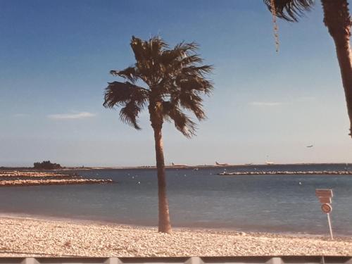 Studio bord de mer - Location saisonnière - Saint-Laurent-du-Var