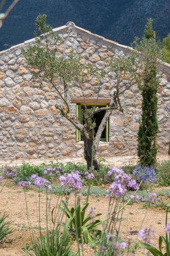 Vinovassilema Stone Cottage