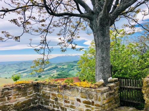  Mini Casale Rustico ColleBello in Castiglione Messer Raimondo