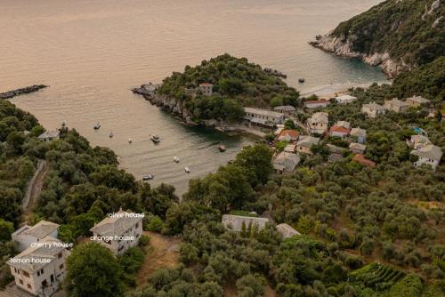 Olive House in Damouchari with a sea view - Delicious Houses