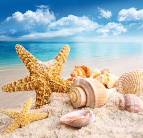 Luxury by the sea, Mamaia