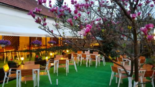 . Casa Andreea