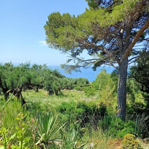 Tarohouse Marina di Camerota 3