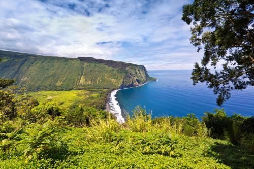 Exceptional Vacation Home in Hilo apts - image 5