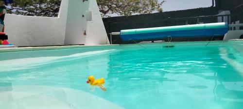 Aptos con piscina El Flamboyán 1 5
