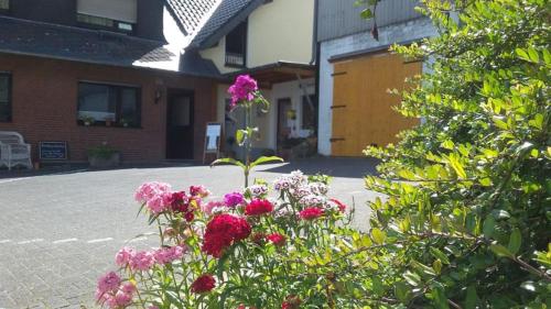 B&B Leichlingen - Bauernhof Sesterhenn - Bed and Breakfast Leichlingen